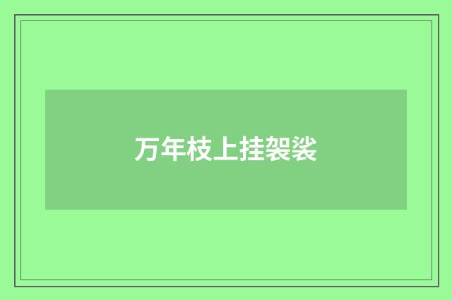 万年枝上挂袈裟