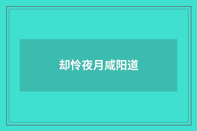 却怜夜月咸阳道