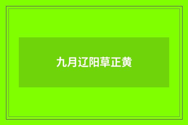 九月辽阳草正黄