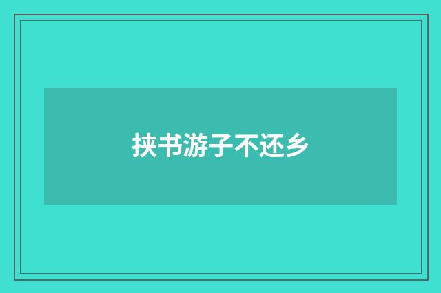 挟书游子不还乡