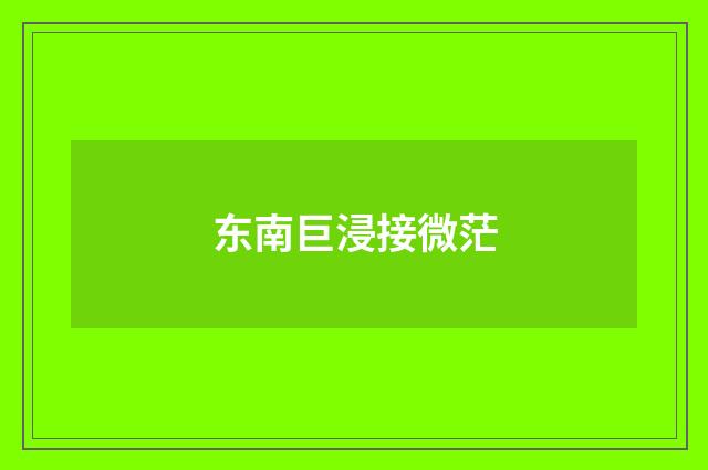 东南巨浸接微茫