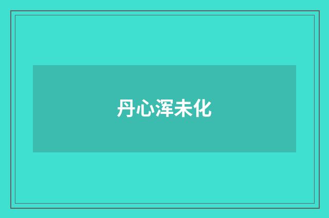 丹心浑未化
