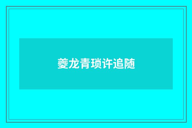夔龙青琐许追随