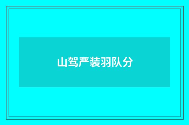 山驾严装羽队分
