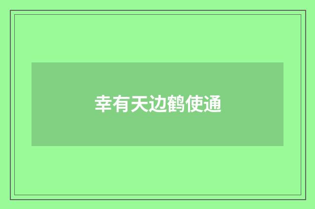 幸有天边鹤使通