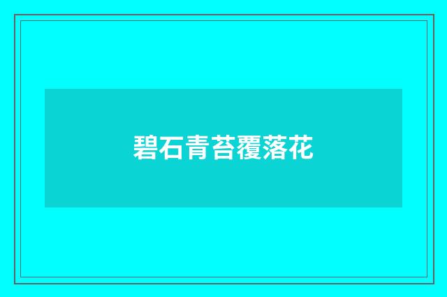 碧石青苔覆落花