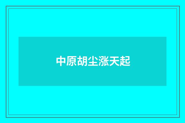 中原胡尘涨天起