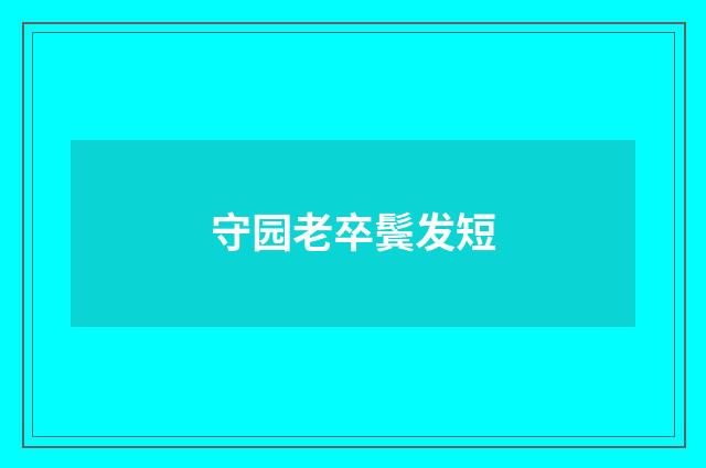 守园老卒鬓发短