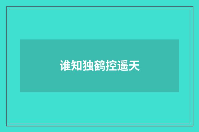 谁知独鹤控遥天
