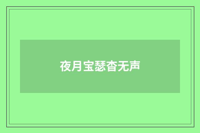夜月宝瑟杳无声