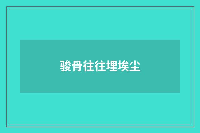 骏骨往往埋埃尘