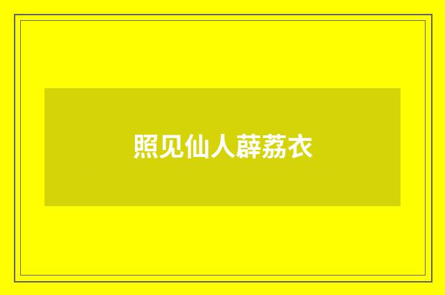 照见仙人薜荔衣