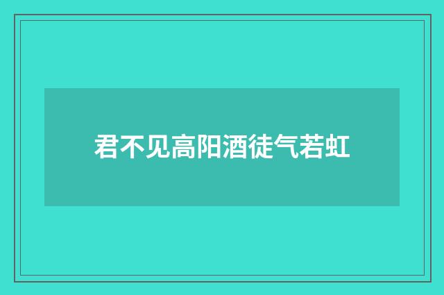 君不见高阳酒徒气若虹