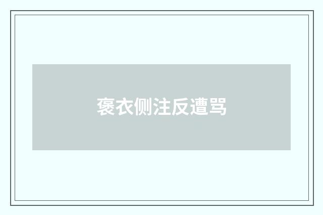 褒衣侧注反遭骂