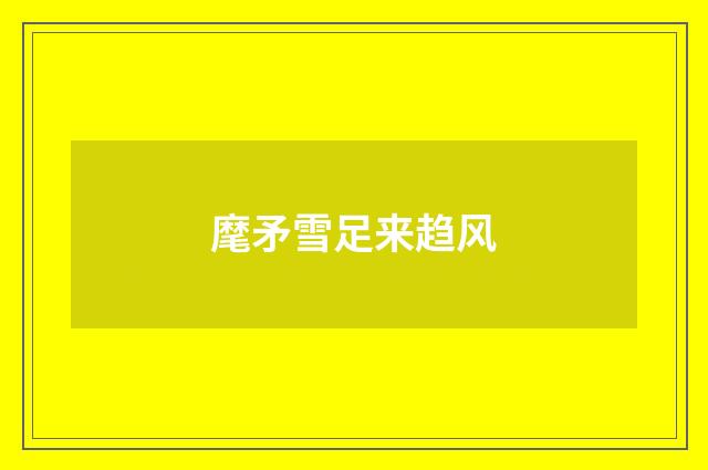 麾矛雪足来趋风