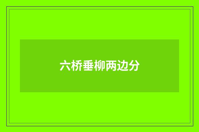 六桥垂柳两边分