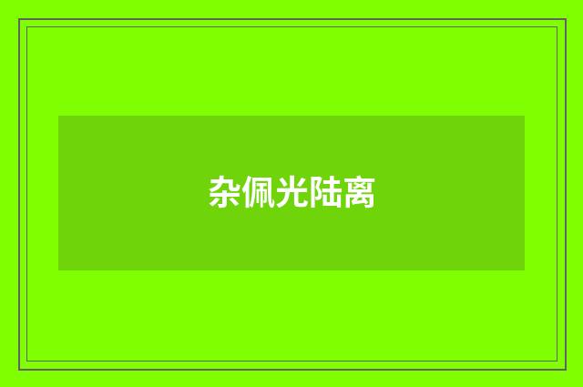 杂佩光陆离