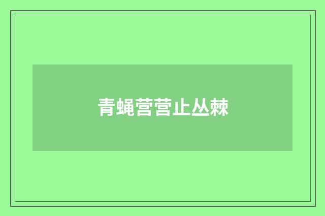 青蝇营营止丛棘