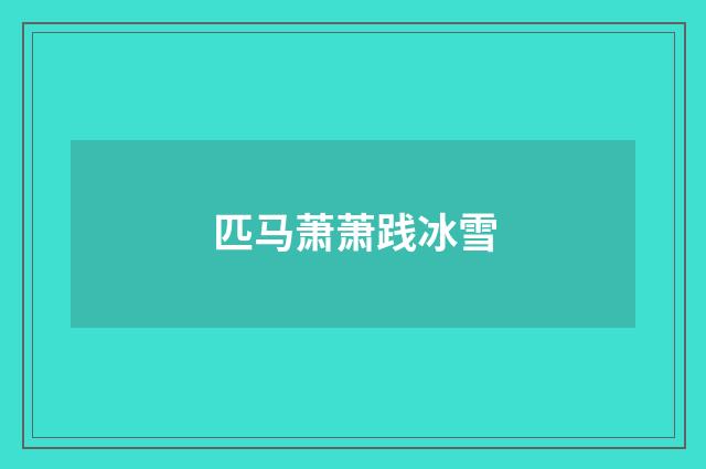 匹马萧萧践冰雪