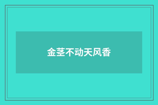 金茎不动天风香