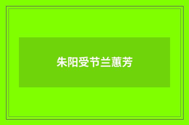 朱阳受节兰蕙芳