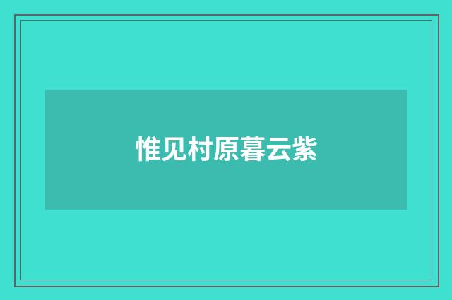 惟见村原暮云紫