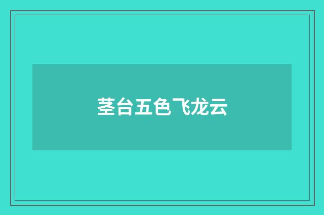 茎台五色飞龙云