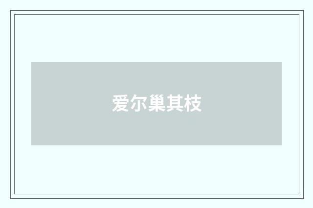 爱尔巢其枝