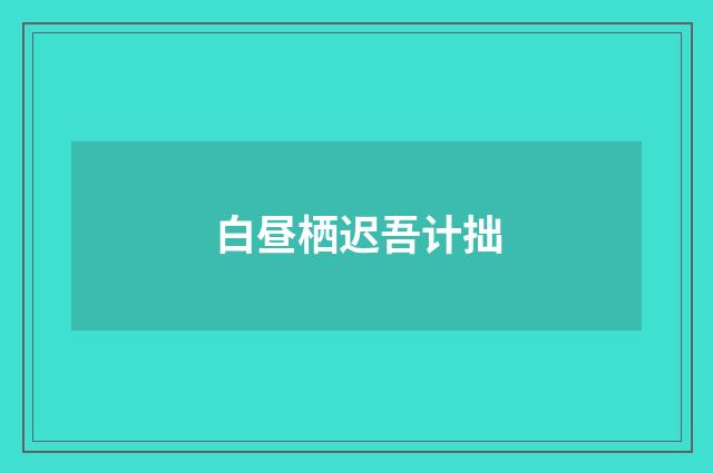白昼栖迟吾计拙