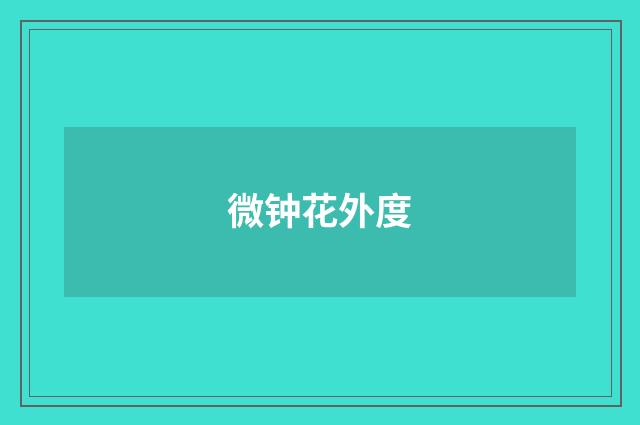 微钟花外度