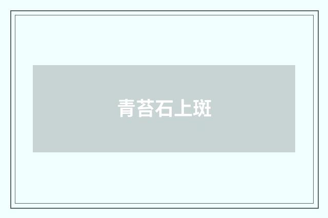 青苔石上斑