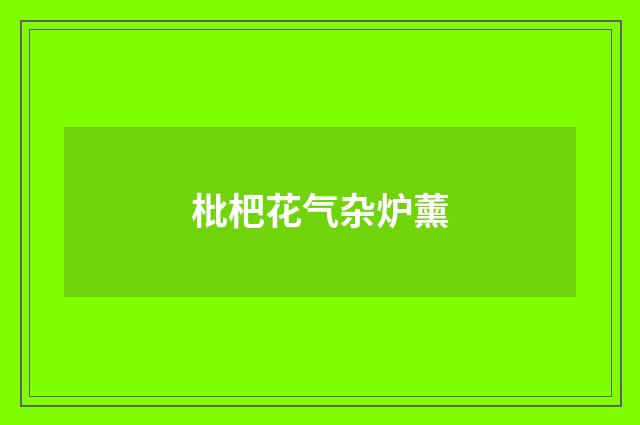 枇杷花气杂炉薰