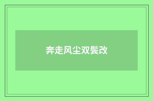 奔走风尘双鬓改