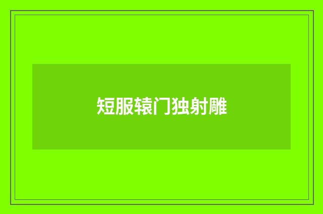 短服辕门独射雕