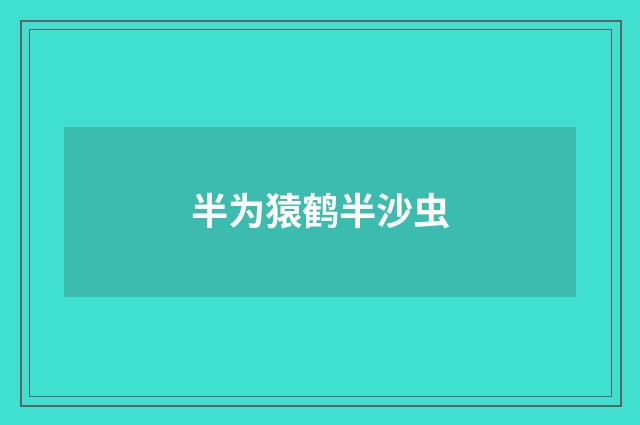 半为猿鹤半沙虫