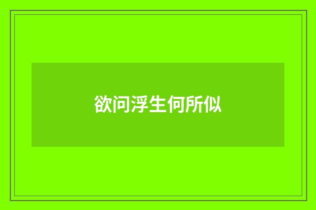 欲问浮生何所似