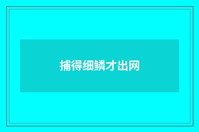 捕得细鳞才出网