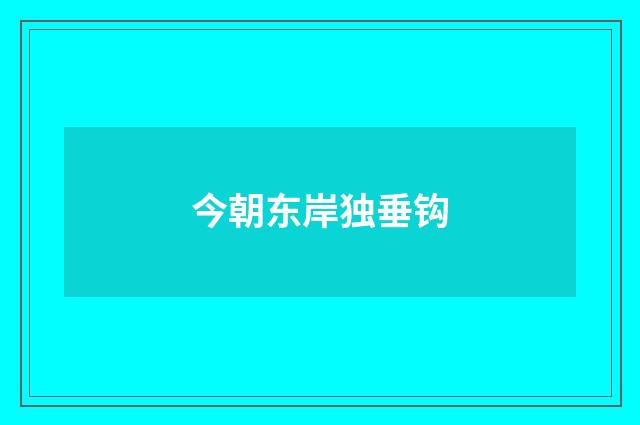 今朝东岸独垂钩