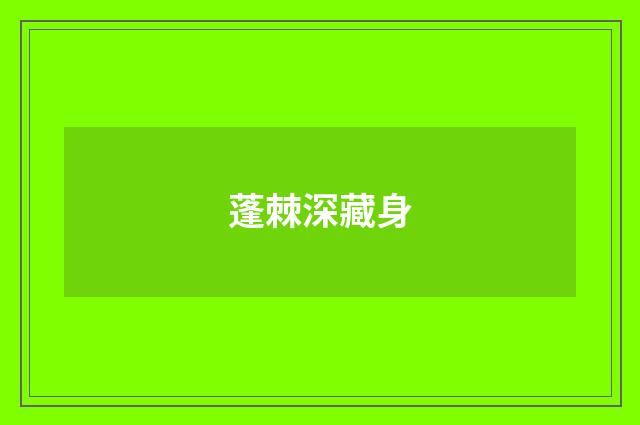 蓬棘深藏身