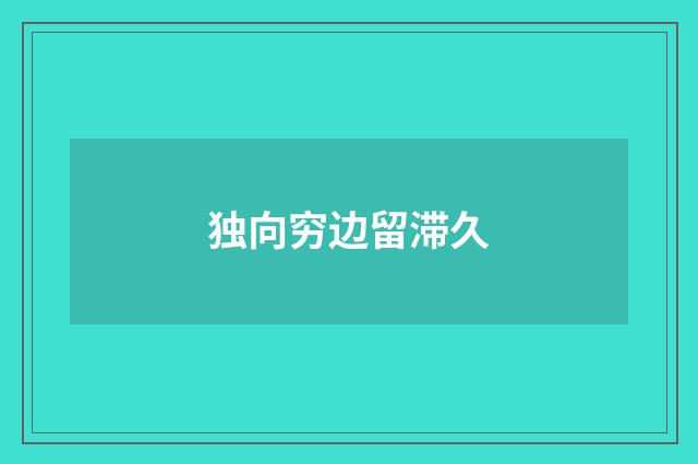 独向穷边留滞久
