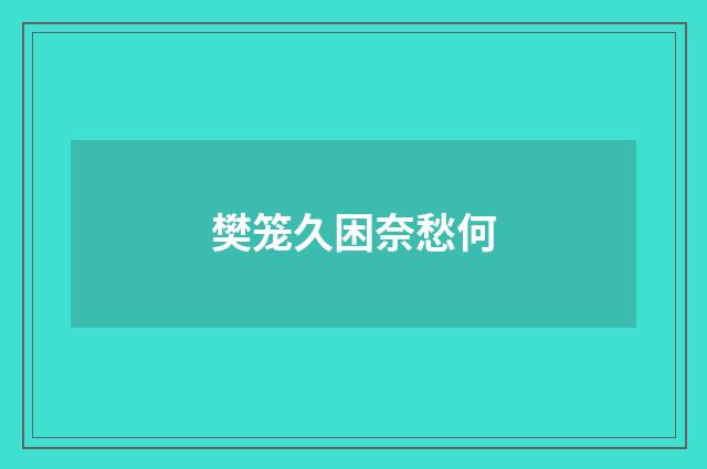 樊笼久困奈愁何