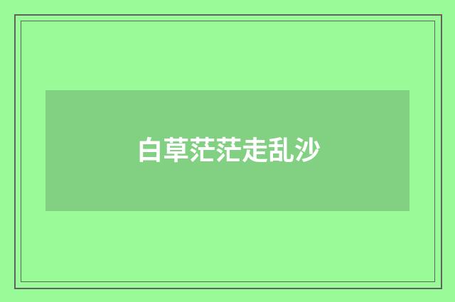 白草茫茫走乱沙