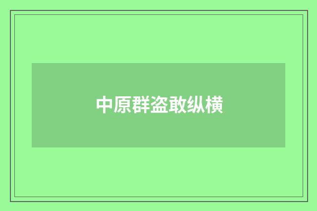 中原群盗敢纵横