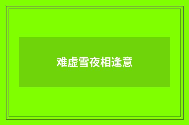 难虚雪夜相逢意