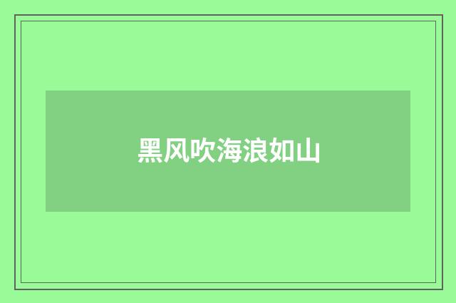 黑风吹海浪如山