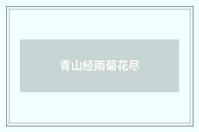 青山经雨菊花尽