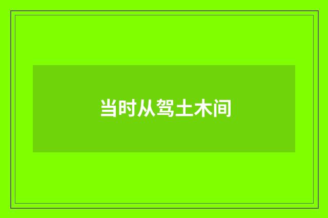 当时从驾土木间