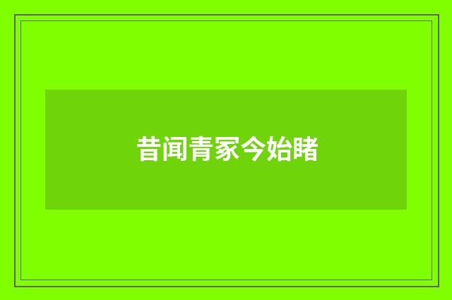昔闻青冢今始睹