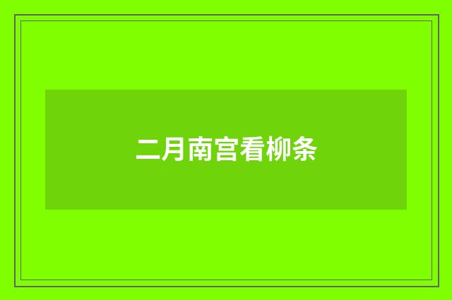 二月南宫看柳条