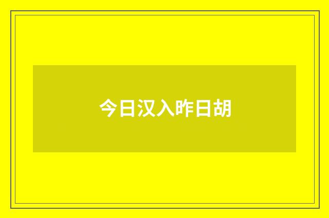 今日汉入昨日胡